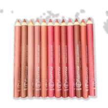 Load image into Gallery viewer, Matte Lipstick Pencil (Pack of 12)